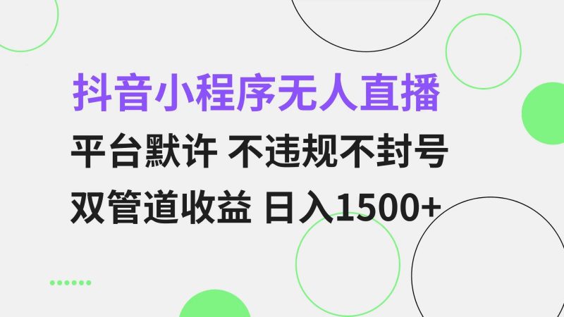 （13276期）抖音小程序无人直播 平台默许 不违规不封号 双管道收益 日入1500+ 小白…-网创资源库