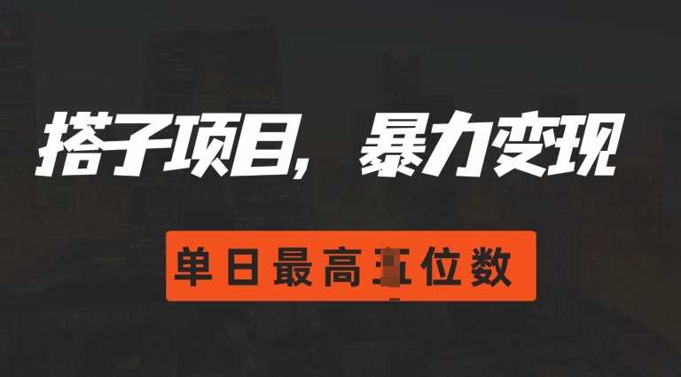 2024搭子玩法，0门槛，暴力变现，单日最高破四位数【揭秘】-网创资源库