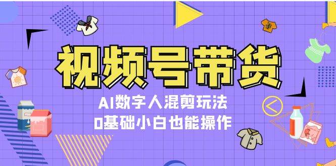 （13359期）视频号带货，AI数字人混剪玩法，0基础小白也能操作-网创资源库