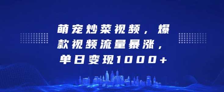 萌宠炒菜视频，爆款视频流量暴涨，单日变现1k-网创资源库