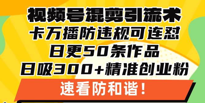 视频号混剪引流技术，500万播放引流17000创业粉，操作简单当天学会-网创资源库