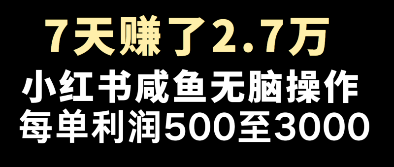 冷门暴利，超级简单的项目0成本玩法，每单在500至4000的利润-网创资源库