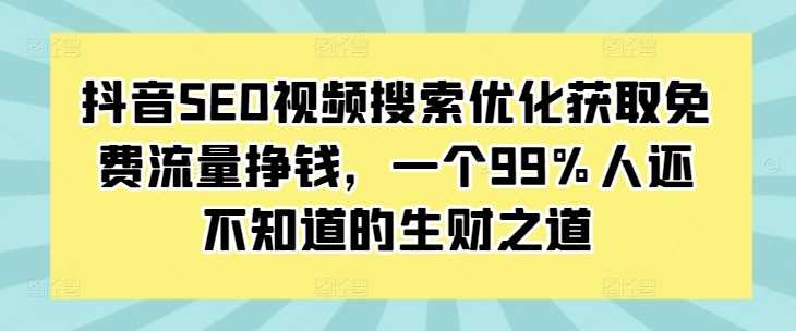 抖音SEO视频搜索优化获取免费流量挣钱，一个99%人还不知道的生财之道-网创资源库