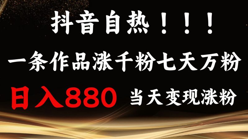 抖音小红书自热，一条作品1000粉，7天万粉，单日变现880收益-网创资源库