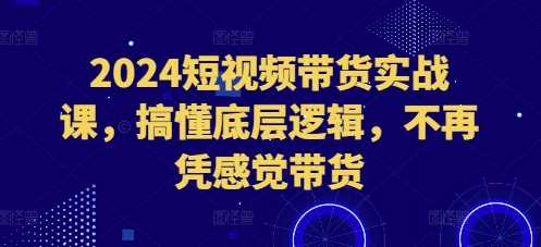 2024短视频带货实战课，搞懂底层逻辑，不再凭感觉带货-网创资源库