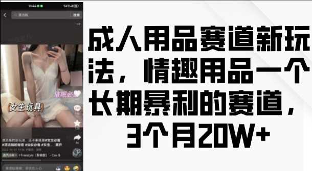 成人用品赛道新玩法，情趣用品一个长期暴利的赛道，3个月收益20个【揭秘】-网创资源库