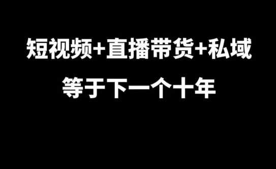 短视频+直播带货+私域等于下一个十年，大佬7年实战经验总结-网创资源库