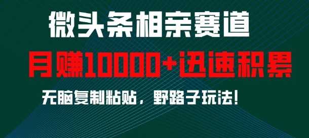 微头条相亲赛道，迅速积累，无脑复制粘贴，野路子玩法，月入1w-网创资源库