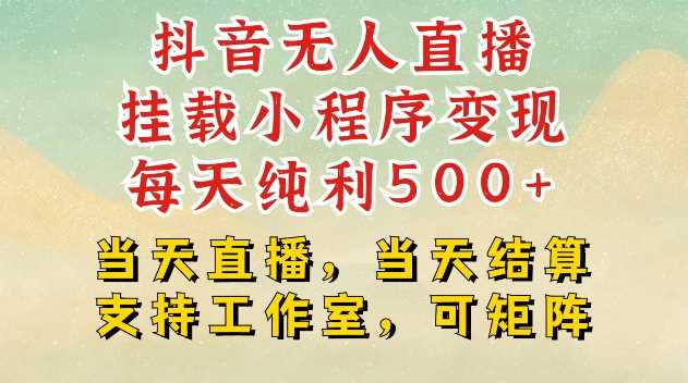 抖音无人直播挂载小程序变现每天纯利500+当天直播，当天结算支持工作室，可矩阵【揭秘】-网创资源库
