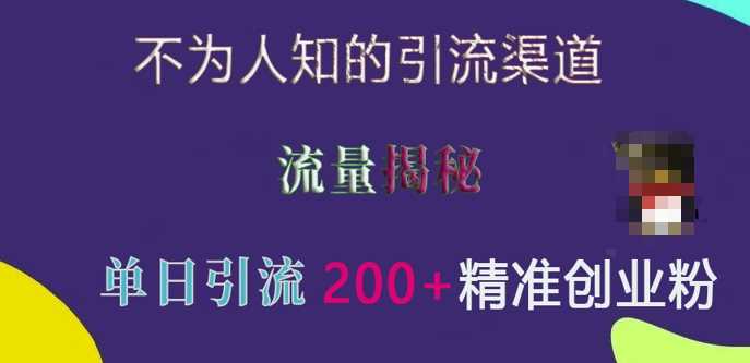 不为人知的引流渠道，流量揭秘，实测单日引流200+精准创业粉【揭秘】-网创资源库