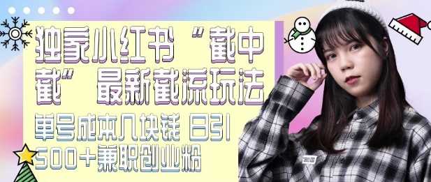最新小红书截流玩法 独家截中截 单号成本几块钱 日引500+CY粉JZ粉-网创资源库