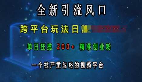 全新引流风口，跨平台玩法日入上k，单日狂揽200+精准创业粉，一个被严重忽略的视频平台-网创资源库