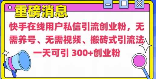 快手最新引流创业粉方法，无需养号、无需视频、搬砖式引流法【揭秘】-网创资源库