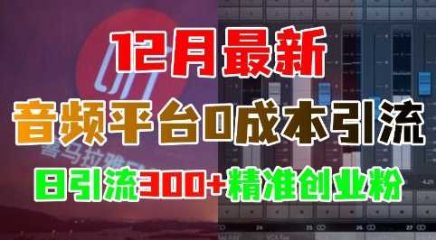 12月最新：音频平台0成本引流，日引流300+精准创业粉-网创资源库