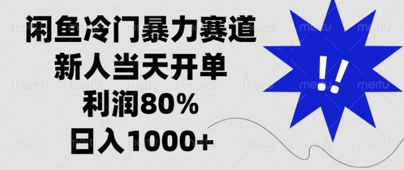 闲鱼冷门暴力赛道，新人当天开单，利润80%，日入1000+-网创资源库
