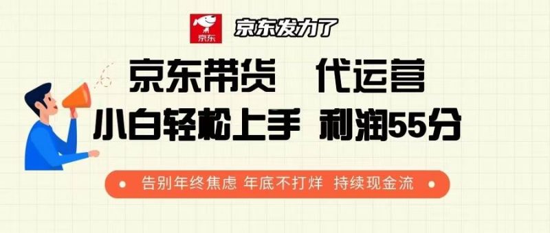 京东带货 代运营 利润55分 告别年终焦虑 年底不打烊 持续现金流-网创资源库