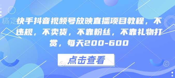 快手抖音视频号放映直播项目教程，不违规，不卖货，不靠粉丝，不靠礼物打赏，每天200-600-网创资源库