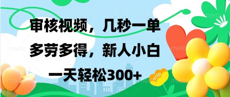 审核视频，几秒一单，多劳多得，新人小白一天轻松300+-网创资源库