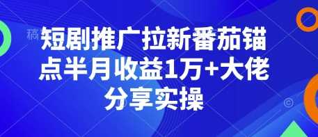 短剧推广拉新番茄锚点半月收益1万+大佬分享实操-网创资源库