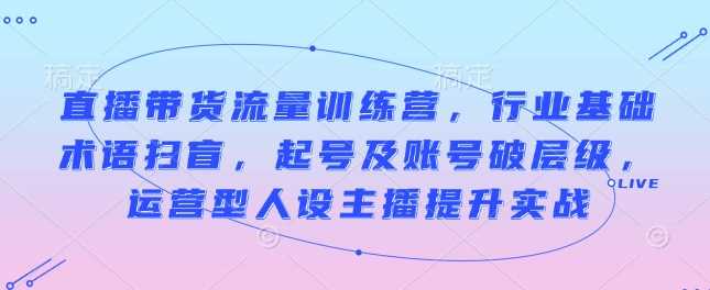 直播带货流量训练营，行业基础术语扫盲，起号及账号破层级，运营型人设主播提升实战-网创资源库