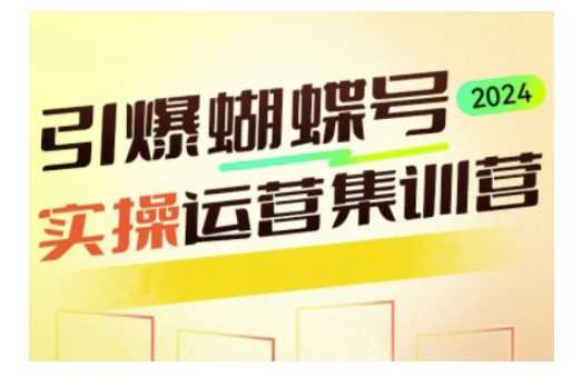 引爆蝴蝶号实操运营，助力你深度掌握蝴蝶号运营，实现高效实操，开启流量变现之路-网创资源库