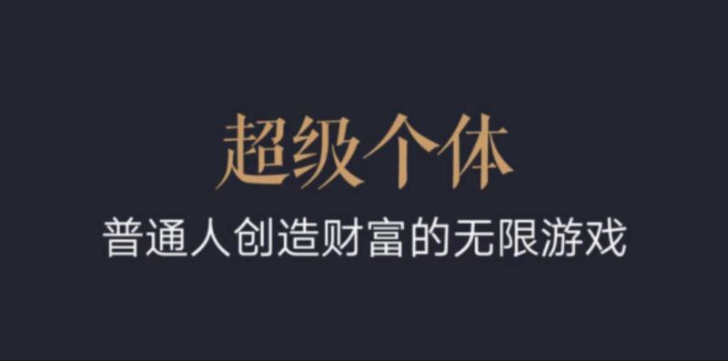 超级个体：2024-2025翻盘指南，普通人创造财富的无限游戏-网创资源库