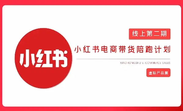 价值2980《小红书电商带货陪跑计划》8人团队月利润20W!有货源，无货源，虚拟产品，付费投流等整套玩法-网创资源库