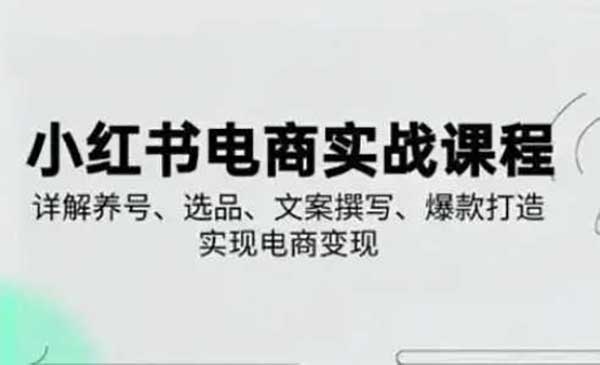 小红书从0-1实操课(2023-2025)，详解养号、选品、文案撰写、爆款打造实现电商变现-网创资源库