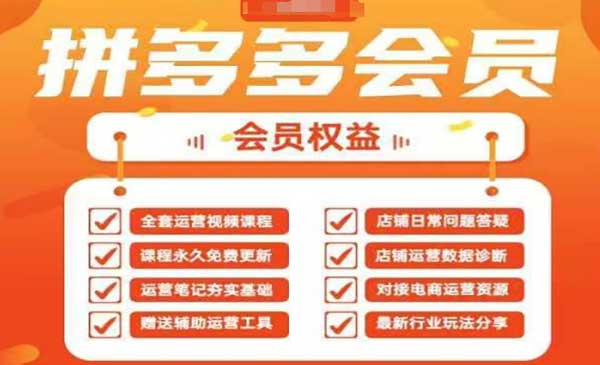 2025拼多多运营实战课，40节全流程教学，覆盖拼多多运营全链路-网创资源库