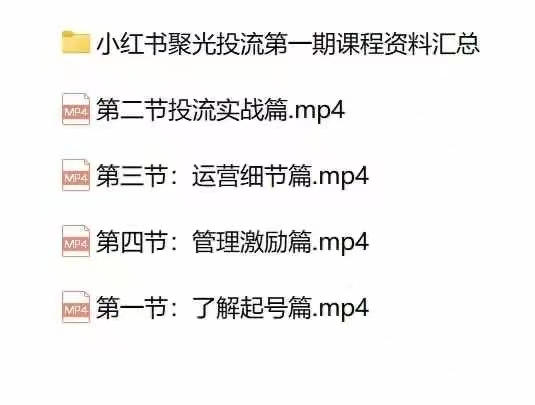 宅男小红书聚光陪跑第一期，教你从0到1玩转小红书聚光投流，搭建小红书付费投流团队，更快的见到效果