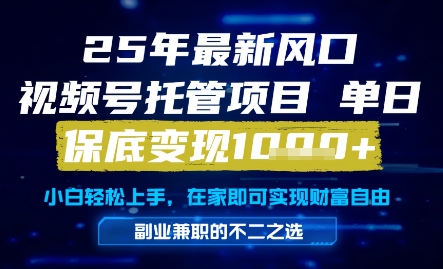 25年最新风口，视频号托管项目，单日保底变现1k+，手把手教学【揭秘】-网创资源库