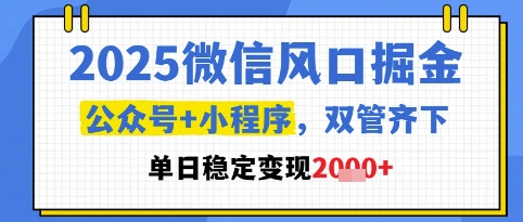 2025微信风口掘金，公众号+小程序双管齐下，单日稳定变现1k+【揭秘】-网创资源库