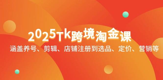 2025Tk跨境淘金课：涵盖养号、剪辑、店铺注册到选品、定价、营销等-网创资源库