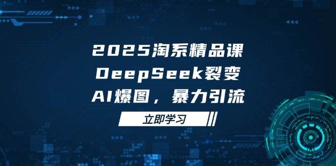 2025 淘系精品课，DeepSeek 裂变，AI 爆图，暴力引流-网创资源库