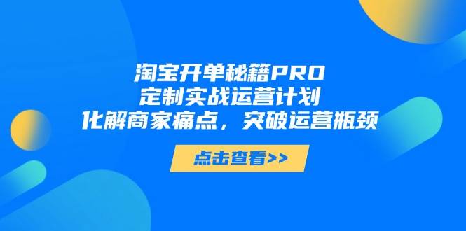 淘宝开单秘籍PRO，定制实战运营计划，化解商家痛点，突破运营瓶颈-网创资源库
