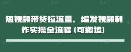 短视频带货拉流量，编发视频制作实操全流程(可搬运)-网创资源库