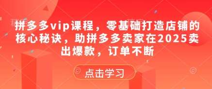 拼多多vip课程，零基础打造店铺的核心秘诀，助拼多多卖家在2025卖出爆款，订单不断-网创资源库