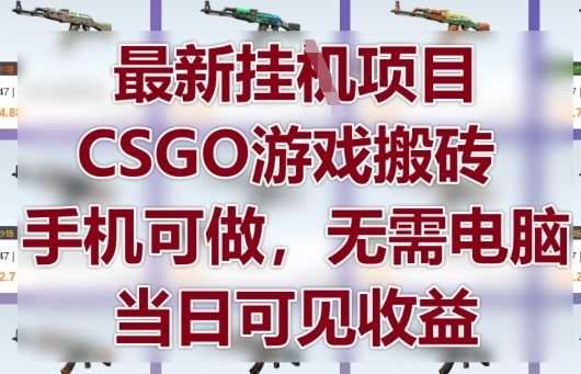 最新挂G项目，CSGO游戏搬砖，手机可做，无需电脑，当日见收益【揭秘】-网创资源库