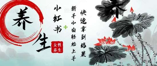 疯狂火爆，用Deepseek小红书平台的女性古声古韵养生爆款，小白轻松制作，快速拿到结果-网创资源库