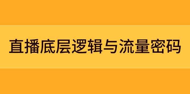 直播底层逻辑与流量密码：定位模型+案例拆解，急速流承接与数据优化全攻略-网创资源库