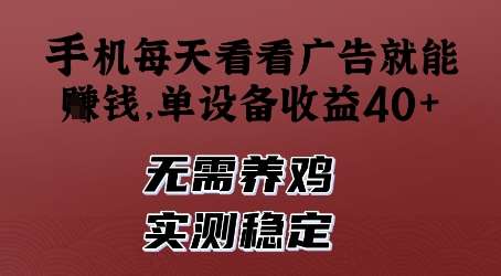 手机每天看看广告就能挣钱，单设备收益40+，无需养鸡，实测稳定【揭秘】-网创资源库