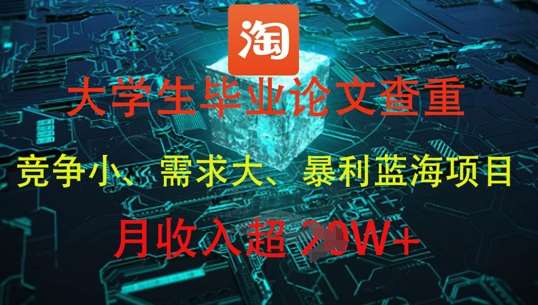 大学生毕业论文查重，暴利蓝海项目，月收入过1W+-网创资源库