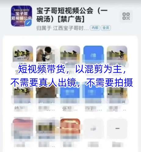 宝子哥头部团队短视频带货，以混剪为主，不需要真人出镜，不需要拍摄-网创资源库
