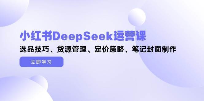 小红书DeepSeek运营课，选品技巧、货源管理、定价策略、笔记封面制作-网创资源库