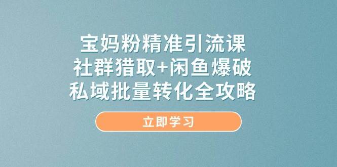 宝妈粉精准引流课，社群猎取+闲鱼爆破，私域批量转化全攻略-网创资源库