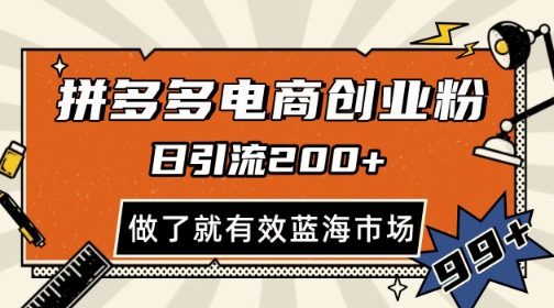 拼多多引流电商创业粉，日引200+，可矩阵放大，做了就有效【揭秘】-网创资源库
