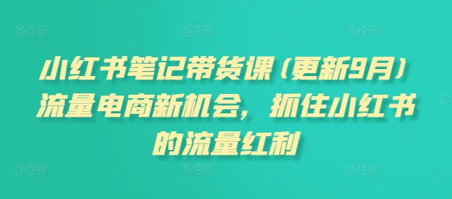 小红书笔记带货课(更新25年5月)流量电商新机会，抓住小红书的流量红利-网创资源库