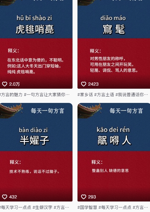 图片[2]-抖音最新涨粉玩法，图文方言暴力涨粉实操，126作品涨粉11W-网创资源库