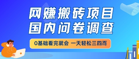 网创搬砖项目，国内问卷调查，小白轻松上手，一天三四张的也不难，干就完了【揭秘】-网创资源库