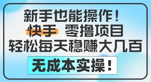 新手也能操作，快手零撸挣米，轻松每天挣2-5张，完全无成本-网创资源库